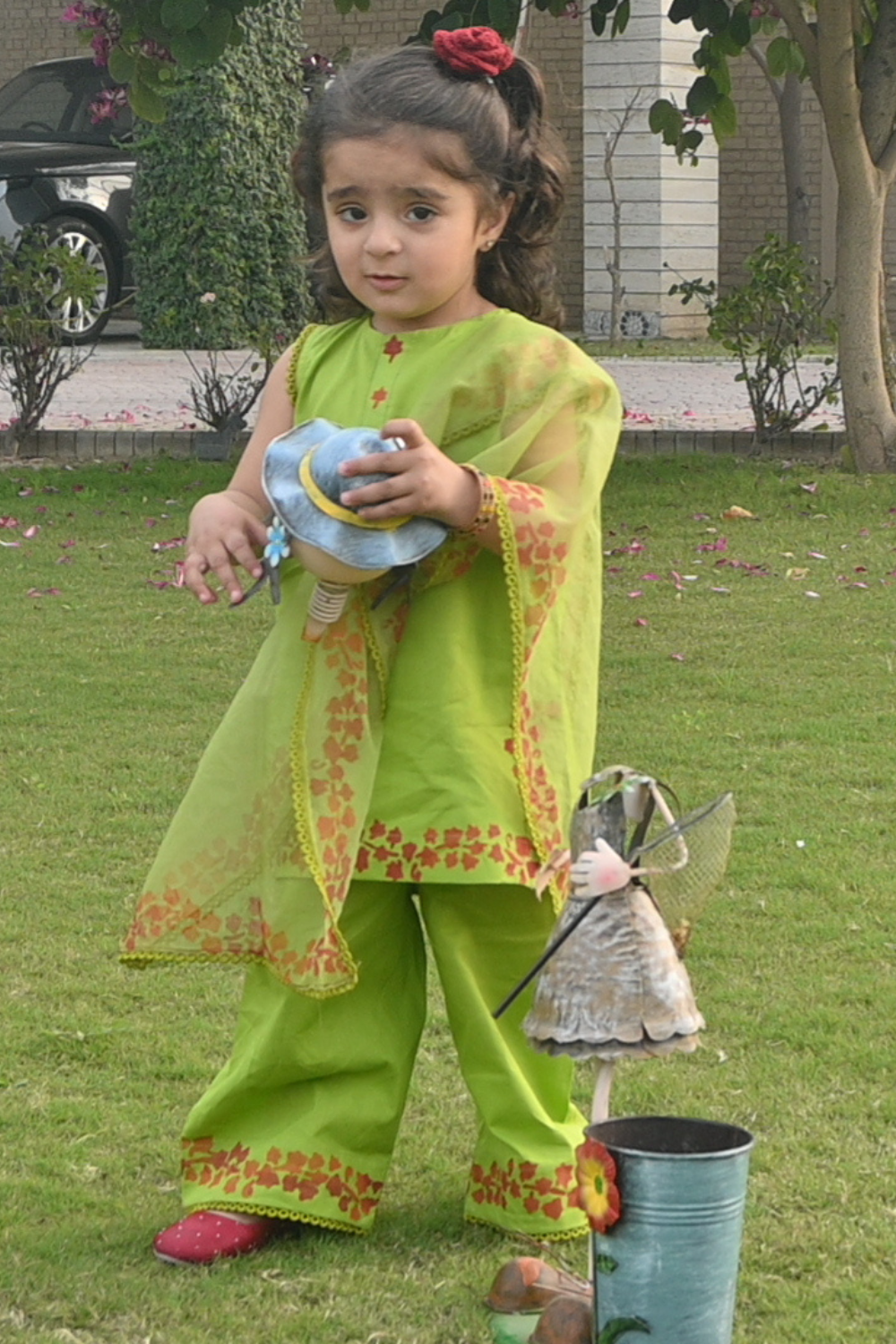 Parrot lvy